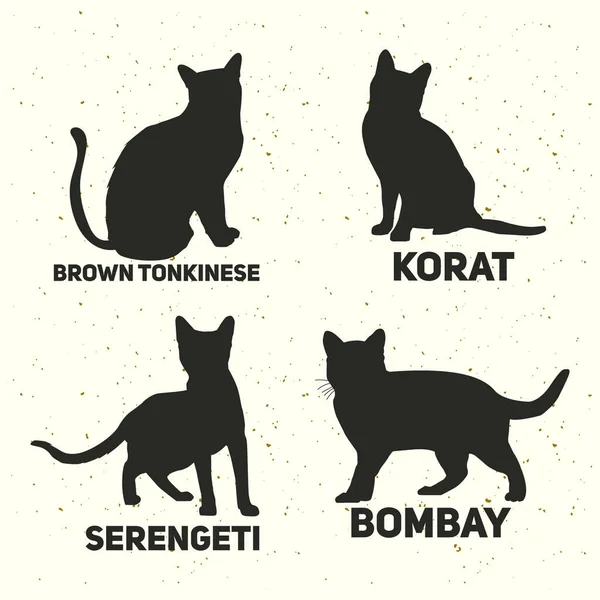 Kedi Hayvanı Siluetleri Premium Vektörü