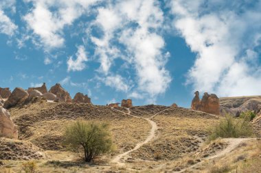 Devrent Valley ve Türkiye 'nin Kapadokya kentindeki peri bacaları. Devrent Valley, Kapadokya 'nın en popüler turistik yerlerinden biridir. Deve şeklinde kaya ya da peri bacası. Seçici odak.