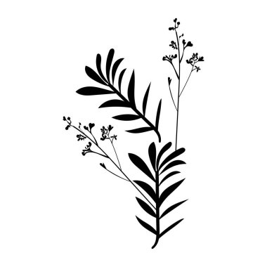 Siyah vektör çiçek süsü tasarım elementleri