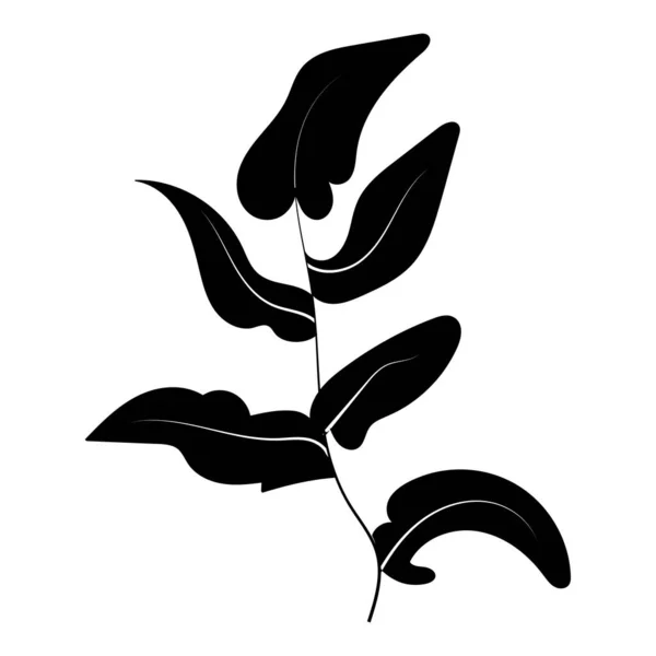 ブラックベクトル花の装飾デザイン要素 — ストックベクタ