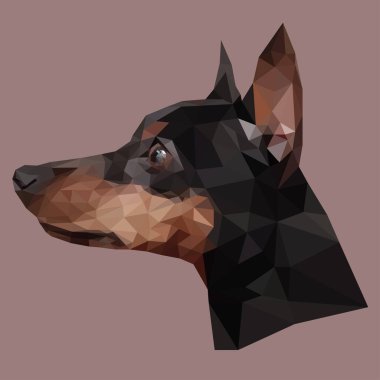 Zwergpinscher. Çokgen köpek kafası. Köpek. Geometrik köpek. Çokgen renkli çizimler. Düşük polimerli bir hayvan. Logo, simge, arkaplan için vektör illüstrasyonu