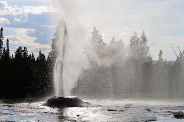 Yellowstone Ulusal Parkı 'nda aktif gayzer
