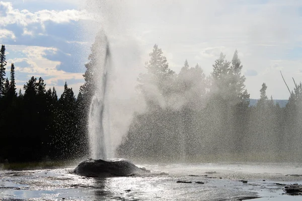 Yellowstone Ulusal Parkı 'nda aktif gayzer