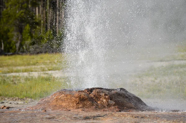 Yellowstone Ulusal Parkı 'nda aktif gayzer