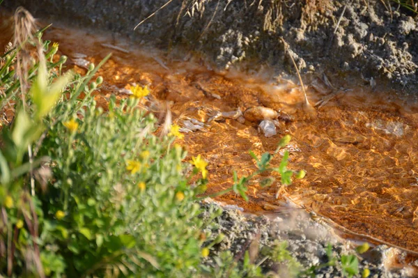 Yellowstone Ulusal Parkı 'ndaki bir nehre yakın.