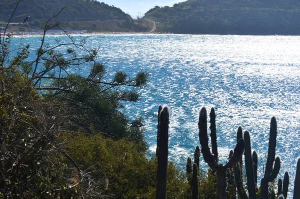 Brezilya, Arraial do Cabo 'da güzel mavi okyanus