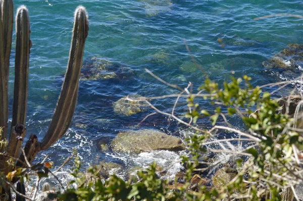 Brezilya, Arraial do Cabo 'daki güzel mavi okyanusun detayları