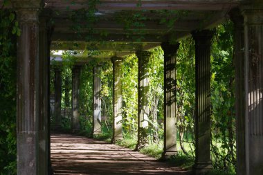 Pergola, Tsarskoye Selo, Saint Petersburg