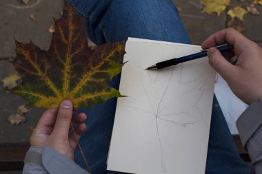 Hızlı Sonbahar Yeşilliği Çizimi Sürülüyor