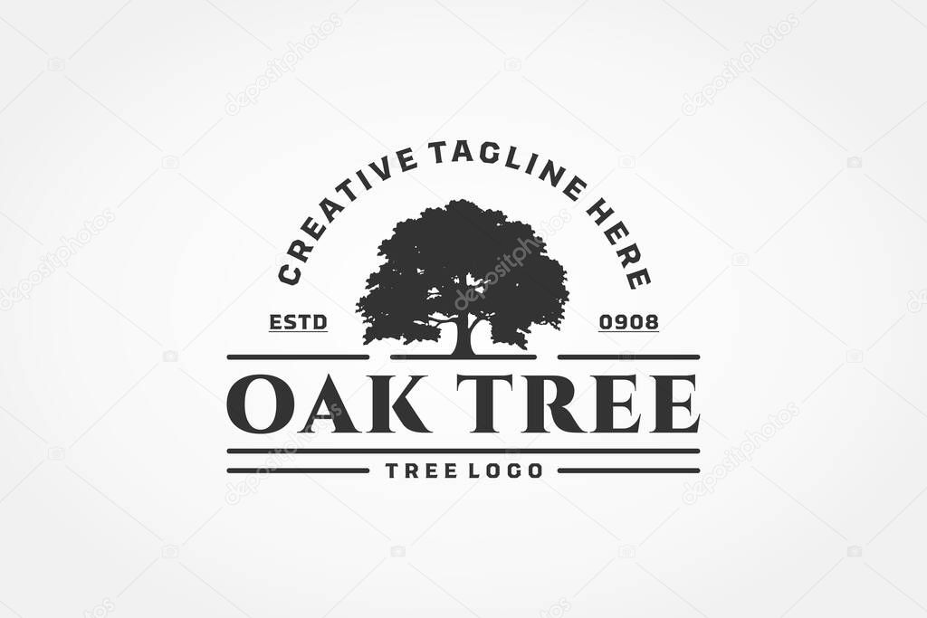 oak tree logo in hipster or vintage concept