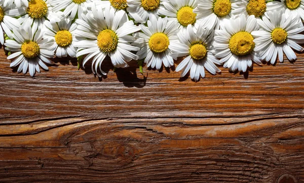 Chamomile on a wooden table — Stock Photo, Image