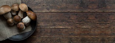 Taze orman mantarları, Boletus edulis (Kral Bolete), bozuk para çöreği, eski bir kâse içinde porcini, ahşap kahverengi masada tabak, üst görünüm arka plan