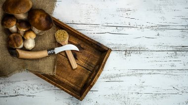 Taze orman mantarları, Boletus edulis (King bolete), penny bun, cep, porcini, mantar bıçağı ve mantar fırçası beyaz eski püskü masa üzerinde ahşap tablet, üst görünüm panorama