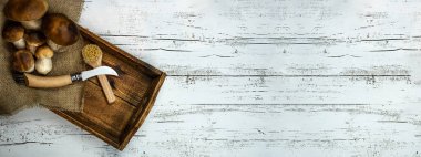 Taze orman mantarları, Boletus edulis (King bolete), penny bun, cep, porcini, mantar bıçağı ve mantar fırçası beyaz eski püskü masa üzerinde ahşap tablet, üst görünüm panorama