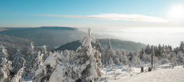 Kara Orman Almanya 'da kış mevsiminde karlı ve donmuş kar manzarasının göz kamaştırıcı arka plan manzarası
