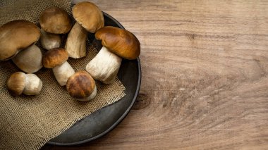 Taze orman mantarları, Boletus edulis (kral boleti), bozuk para çöreği, sepet, porcini eski bir kâse, ahşap kahverengi masa tabağı, üst manzara panorama