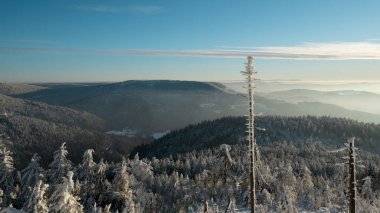 Kara Orman Almanya 'da kış mevsiminde karlı ve donmuş kar manzarasının göz kamaştırıcı arka plan manzarası