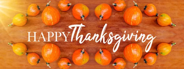 Happy Thanksgiving Tle Baner Panorama Kolorowe Jesienny Pomarańczowy Dynie Brązowy — Zdjęcie stockowe