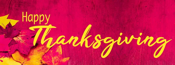 Glad Thanksgiving Höst Bakgrund Banner Panorama Färgglada Fallna Höstlöv Rustika — Stockfoto