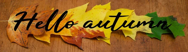 Hello Autumn Background Banner Colorful Fallen Autumnal Leaves Rustic Brown — Stock Photo, Image