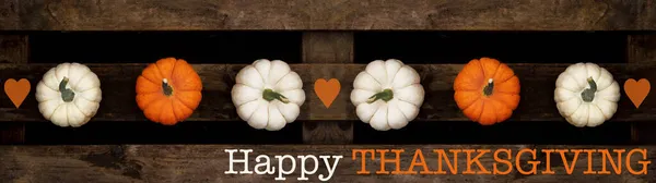 Happy Thanksgiving Background Banner Panorama Vista Dall Alto Diverse Zucche — Foto Stock