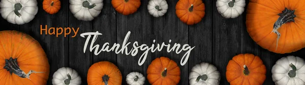 Happy Thanksgiving Banner Hintergrundpanorama Herbstferien Erntestillleben Set Von Verschiedenen Kürbissen — Stockfoto