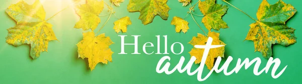 Hello Autumn Banner Panorama Background Top View Many Different Colorful — Stock Photo, Image