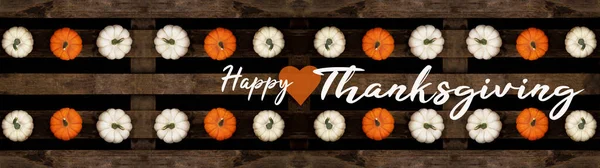 Happy Thanksgiving Background Banner Panorama Vista Superior Diferentes Abóboras Coloridas — Fotografia de Stock