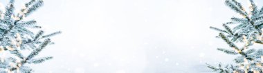Kış / Karlı Noel arkaplan pankartı - Karlı donmuş köknar dalları ve mavi karlı gökyüzü ile bokeh ışıkları 