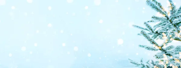 Zimní Sníh Vánoční Pozadí Prapor Panorama Zasněžené Zmrazené Jedlové Větve — Stock fotografie