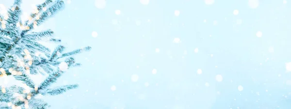Winter Schnee Weihnachten Hintergrund Banner Panorama Schneegefrorene Tannenzweige Und Bokeh — Stockfoto