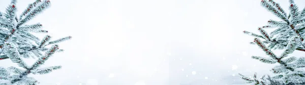 Kış Karlı Noel Arkaplan Pankartı Karlı Donmuş Köknar Dalları Mavi — Stok fotoğraf