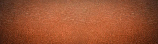 Old Brown Rustic Leather Background Banner Panorama Long — Stock Photo, Image
