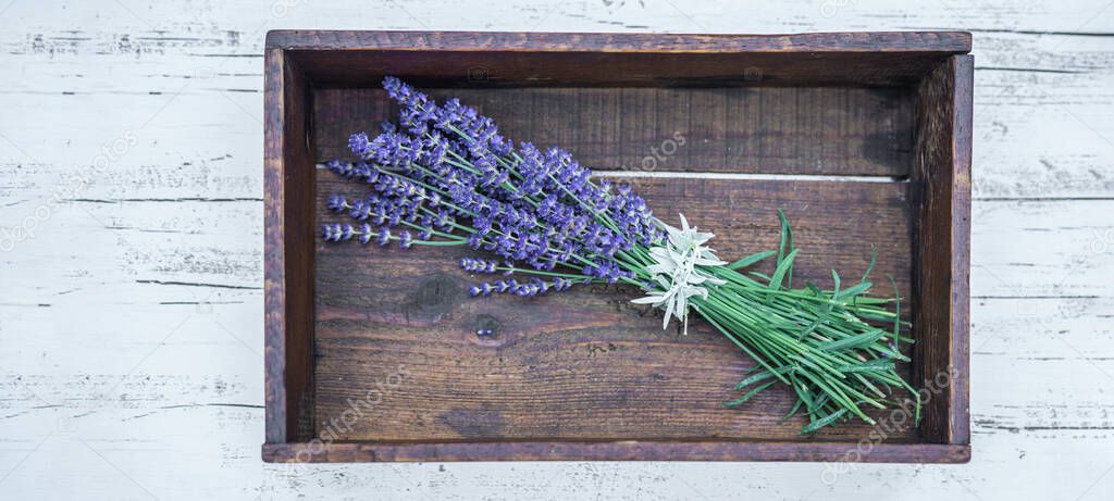 lavender flowers on a wooden background