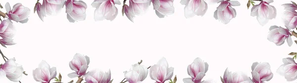 Cornice Magnolia Rigogliosa Isolata Sfondo Bianco Banner Panorama — Foto Stock