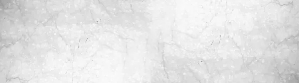 白灰色の研磨された天然石タイル テラススラブ 花崗岩大理石のテクスチャの背景バナーパノラマ — ストック写真