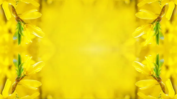 Kwiat Tle Baner Makro Żółtego Kwitnącego Wąwozu — Zdjęcie stockowe