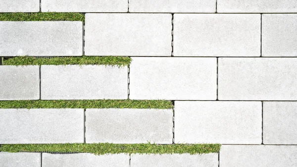 Betonnen Bestrating Aan Buitenkant Met Smalle Grasstroken Tuin Ontwerp Achtergrond — Stockfoto