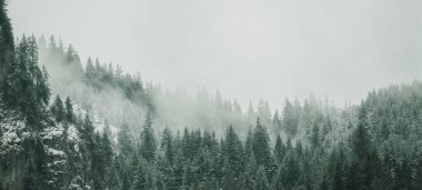 Kara Orman 'da (Schwarzwald) kar manzarası, Almanya panorama afişi - karanlık ruh hali