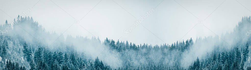 Amazing mystical rising fog forest snow snowy trees landscape snowscape in black forest ( Schwarzwald ) winter, Germany panorama banner - dark mood.