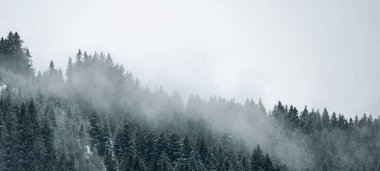 Kara Orman 'da (Schwarzwald) kar manzarası, Almanya panorama afişi - mistik kar havası