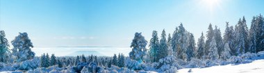 Stunning panorama of snowy landscape in winter in Black Forest - Snow view winter wonderland snowscape background banner with blue sky and sunshine