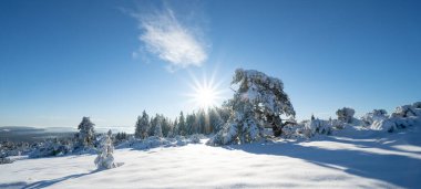 Stunning panorama of snowy landscape in winter in Black Forest - Snow view winter wonderland snowscape background banner with frozen trees, blue sky and sunshine