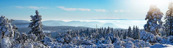 Stunning Panorama Snowy Landscape Winter Black Forest Snow View Winter — 图库照片