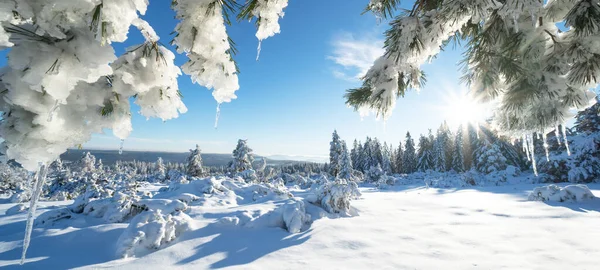 Stunning Panorama Snowy Landscape Winter Black Forest Snow View Winter — 图库照片
