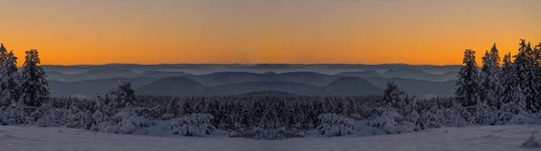 黒い森の冬の雪景色の素晴らしいパノラマ 山の中で神秘的な霧と冬の不思議の国の雪景色の日の出を見る — ストック写真