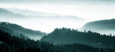Kara Orman 'da (Schwarzwald) kış mevsiminde gökyüzü ağaçları (Schwarzwald), Almanya panorama panoramik afişi - mistik kar sisli havası