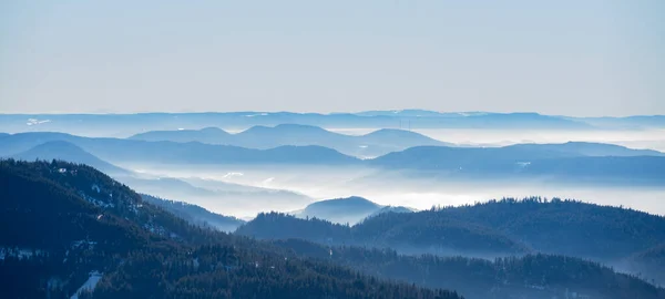 驚くべき神秘的な上昇霧の山の空の森の木々黒い森 シュワルツヴァルト 冬の風景 ドイツのパノラマのバナー 神秘的な雪霧の気分 — ストック写真