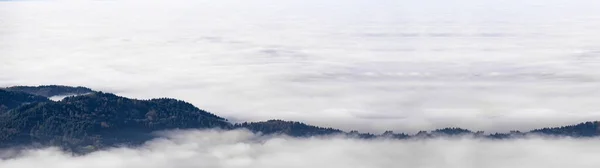 Zee Van Mist Verbazingwekkende Mystieke Opkomende Mist Bos Bomen Landschap — Stockfoto