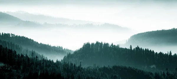 Kara Orman 'da (Schwarzwald) kış mevsiminde gökyüzü ağaçları (Schwarzwald), Almanya panorama panoramik afişi - mistik kar sisli havası